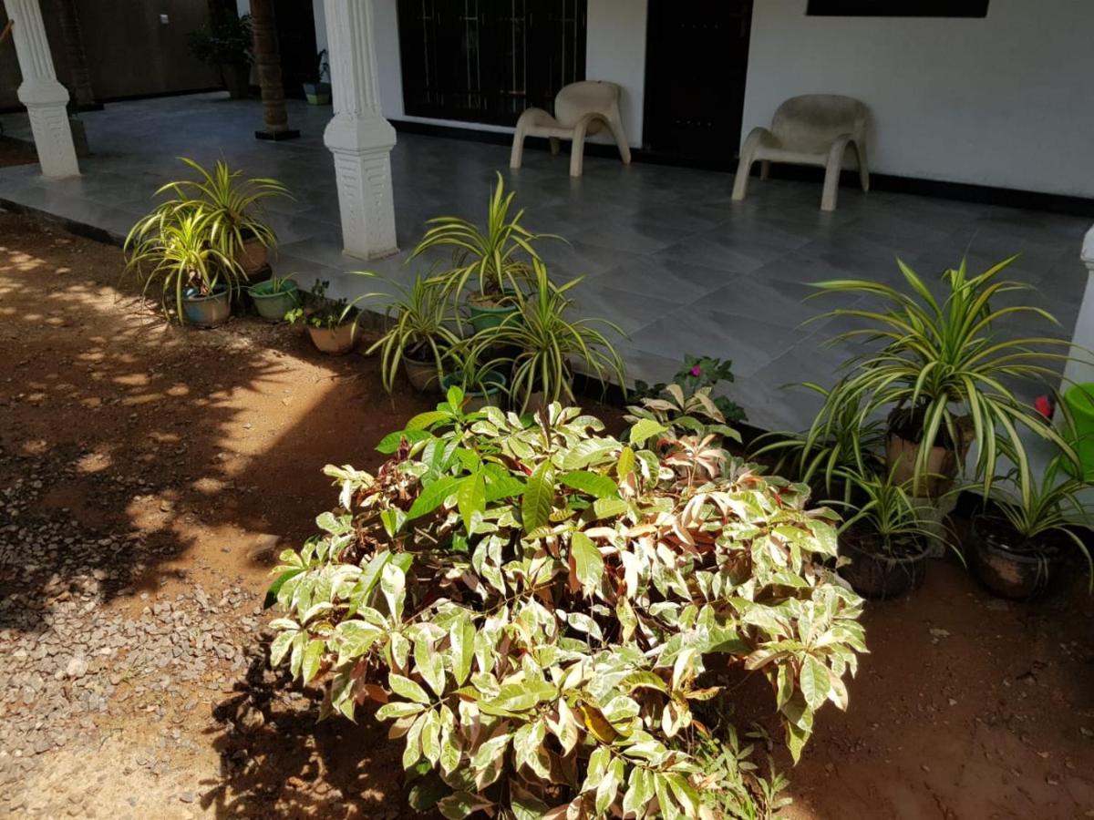 Jungle Reef Rest Hotel Mirissa Luaran gambar